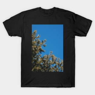 If NJ Were in the Tropics T-Shirt